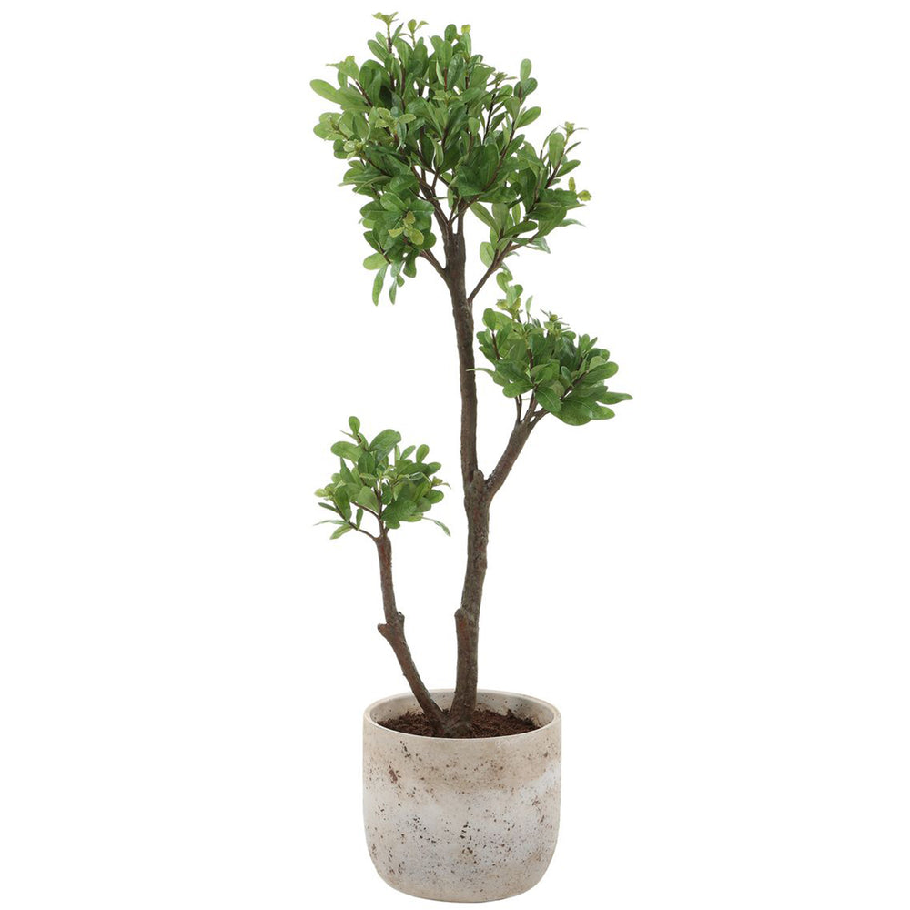 Arbor Strawberry Tree, Ivory-Accessories-High Fashion Home