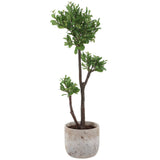Arbor Strawberry Tree, Ivory-Accessories-High Fashion Home