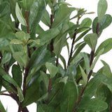 Arbor Strawberry Tree, Ivory-Accessories-High Fashion Home