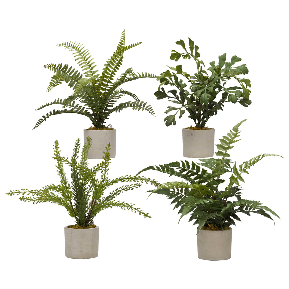 Assorted Mini Ferns in Mini Cement Cylinder, Grey, Set of 4-Accessories-High Fashion Home