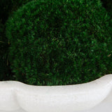 Awaken Moss Centerpiece, Natural-Accessories-High Fashion Home
