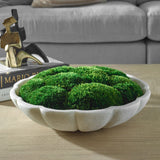 Awaken Moss Centerpiece, Natural-Accessories-High Fashion Home