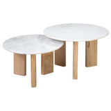 Bryn Coffee Table, Set of 2-Furniture - Accent Tables-High Fashion Home