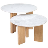 Bryn Coffee Table, Set of 2-Furniture - Accent Tables-High Fashion Home