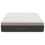 Hybrid Euro-Top Mattress by Becki Owens Home-Furniture - Bedroom-High Fashion Home