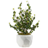Benjamin Ficus in Large Geometric Planter, White-Accessories-High Fashion Home