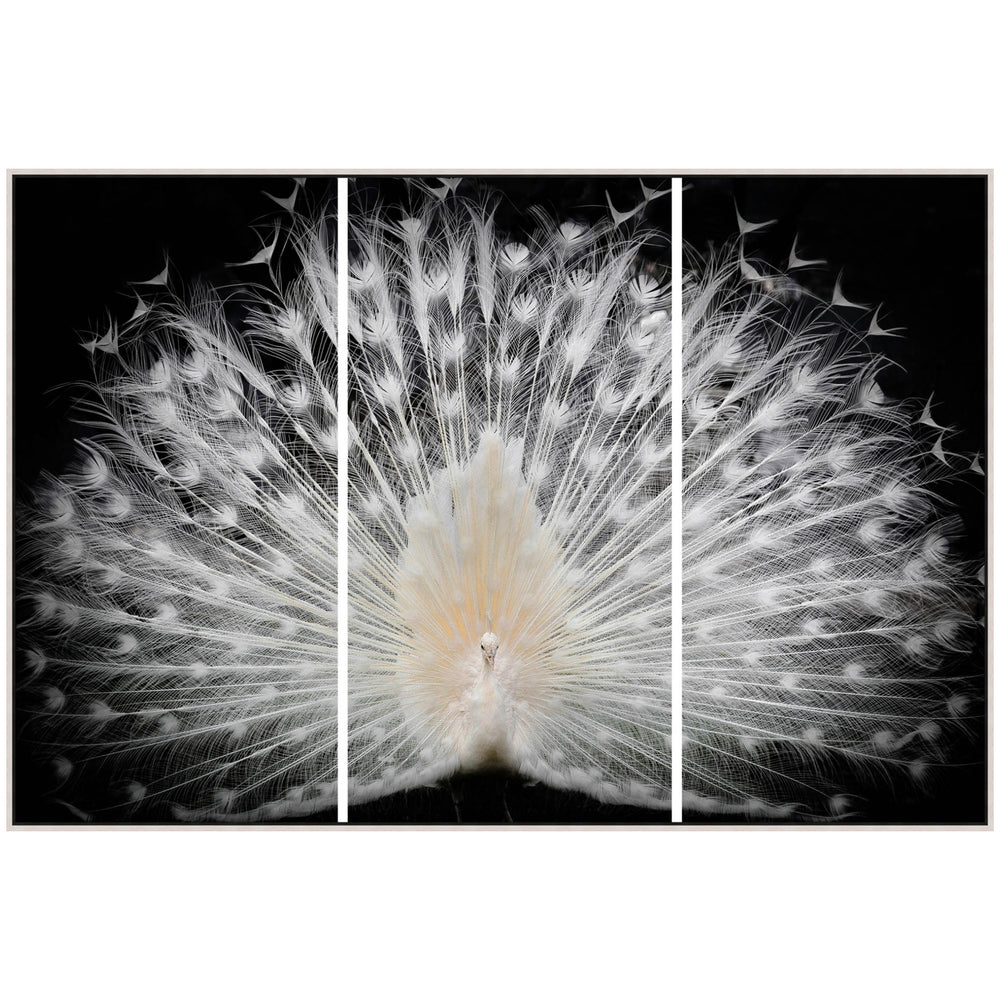 Black and White Set Framed-Accessories Artwork-High Fashion Home