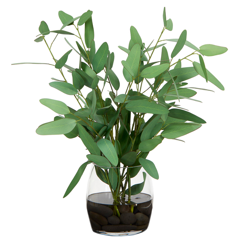 Blue Eucalyptus in Tumbler Vase, Clear-Accessories-High Fashion Home