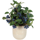 Blueberry Fields, Natural-Accessories-High Fashion Home