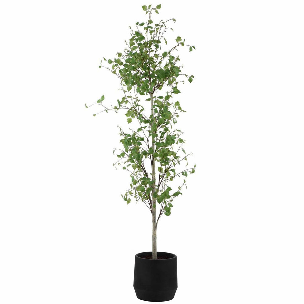 Boreal Potted Birch Tree, Aged Gray-Accessories-High Fashion Home