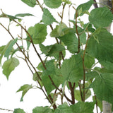 Boreal Potted Birch Tree, Aged Gray-Accessories-High Fashion Home