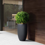 Boxwood Ball in Nell Planter, Black-Accessories-High Fashion Home