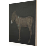 Burro Noche by Paul Meyer-Accessories Artwork-High Fashion Home