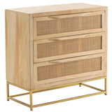 Biscayne Chest-Furniture - Storage-High Fashion Home