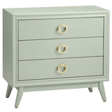 Pomeroy Chest, Sage