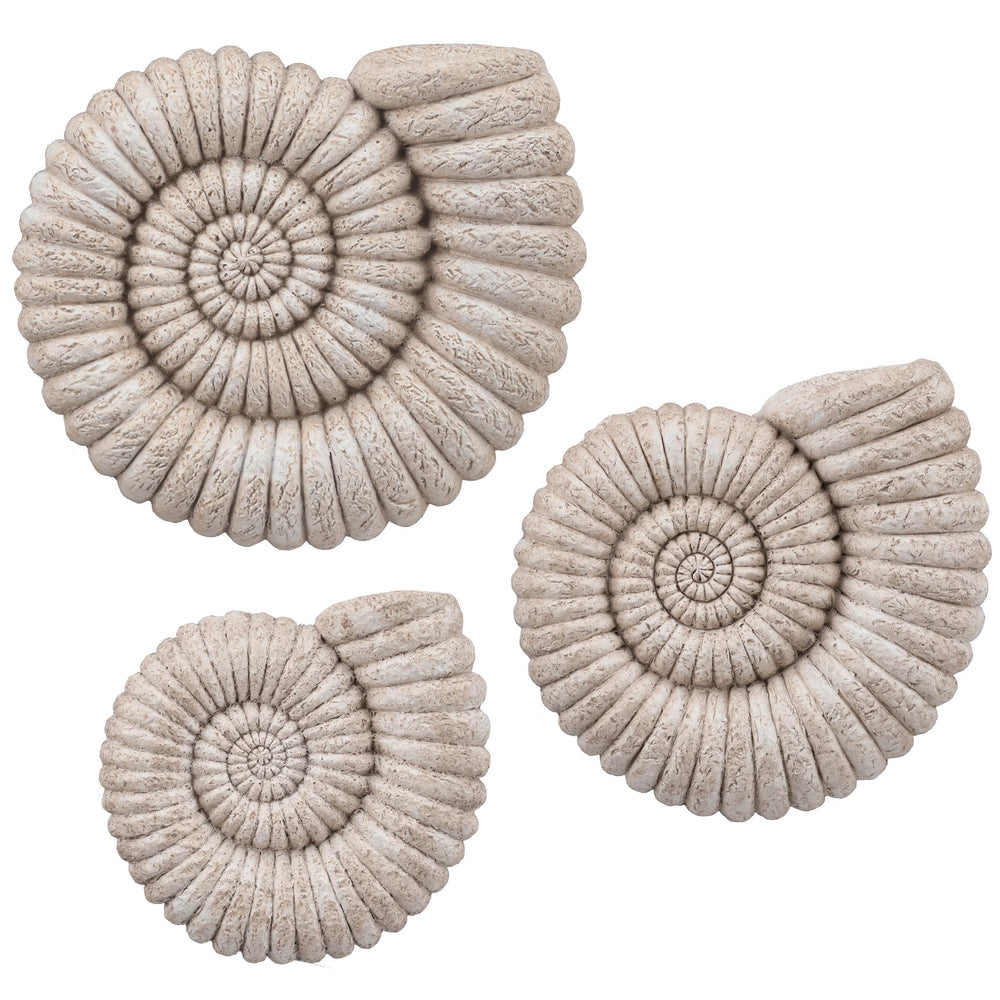 Shoreline Swirls Wall Decor, Natural