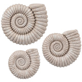 Shoreline Swirls Wall Decor, Natural