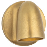 Canna Wall Sconce, Aged Brass