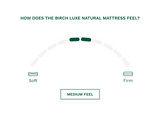 Birch Luxe Natural Mattress-Furniture - Bedroom-High Fashion Home