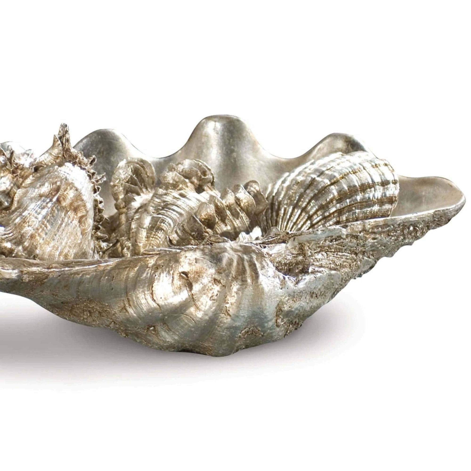 Clam Shell w/Small Shells – High Fashion Home