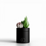 The Hidden Candle-Succulent & Candle-High Fashion Home