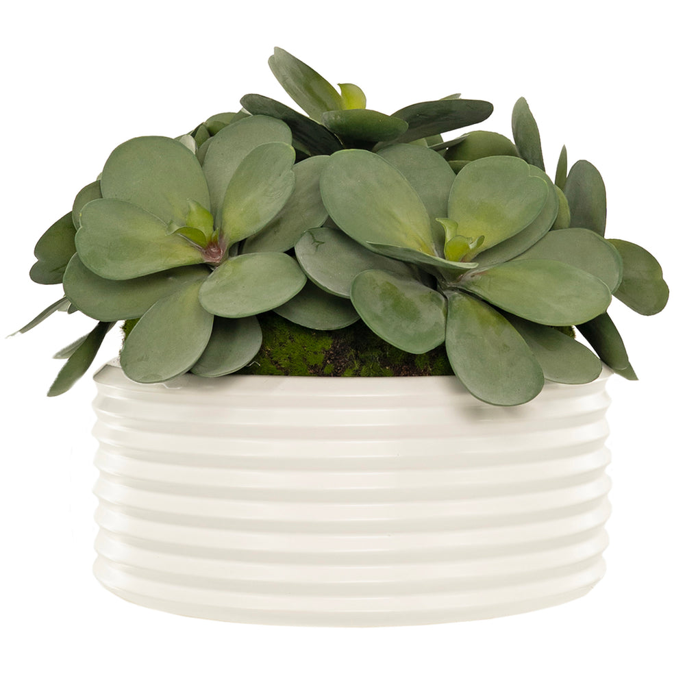 Crassula Echeveria in Armonica Bowl, White-Accessories-High Fashion Home