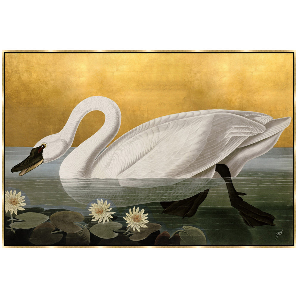 Curiosities IV Framed