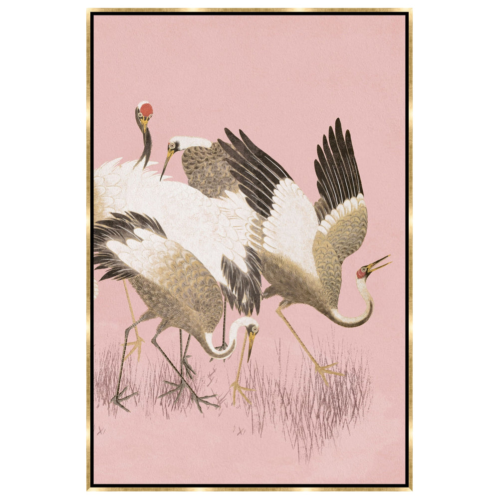 Curious Cranes Preen Framed