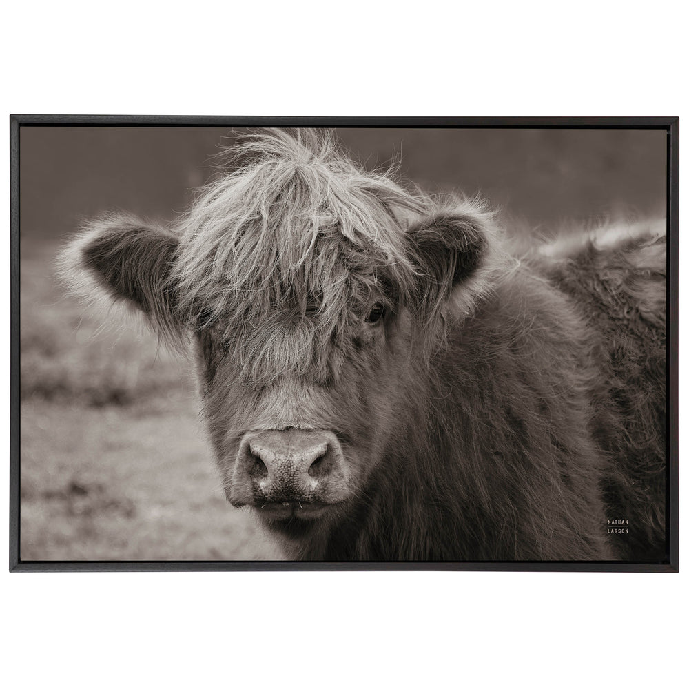 Highland Cow Framed
