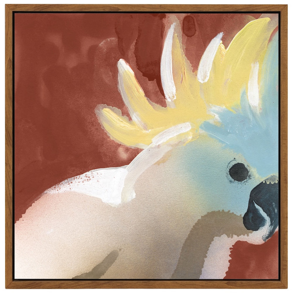 Bird Portraits 5 Framed