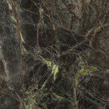 Marston Coffee Table, Brown-Furniture - Accent Tables-High Fashion Home