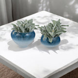 Decorative Bowls, Blue, Set of 2-Accessories-High Fashion Home