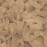 Desert Fortress by Benjamin Galvan, Rustic Walnut Floater by Four Hands-Accessories Artwork-High Fashion Home