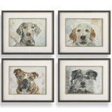 Dog Days Framed, Set of 4-Accessories Artwork-High Fashion Home