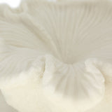 Majorca Shell Bowl, Ivory