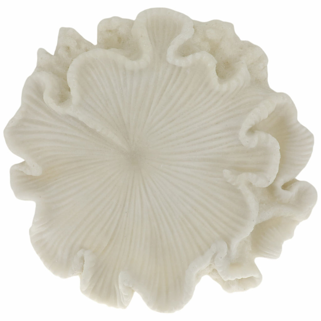 Majorca Shell Bowl, Ivory – High Fashion Home