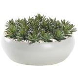 Echeverias in Simply Low Bowl, White-Accessories-High Fashion Home