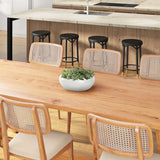 Echeverias in Simply Low Bowl, White-Accessories-High Fashion Home