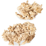 Elemental Root Sculptures, Natural, Set of 2-Accessories-High Fashion Home