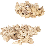 Elemental Root Sculptures, Natural, Set of 2-Accessories-High Fashion Home