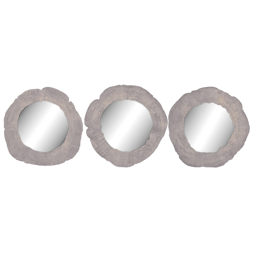 Embers of Growth VII, Grey, Set of 3-Accessories Artwork-High Fashion Home
