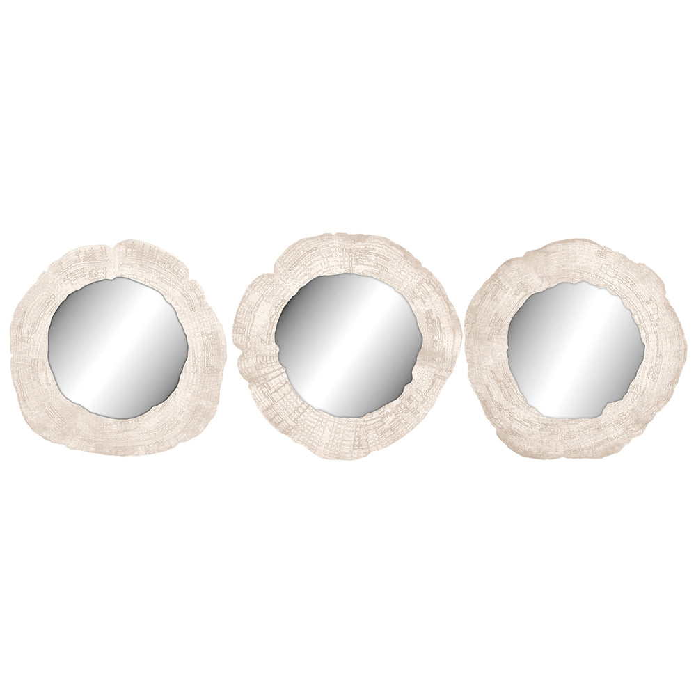 Embers of Growth VII, White Wash, Set of 3-Accessories Artwork-High Fashion Home