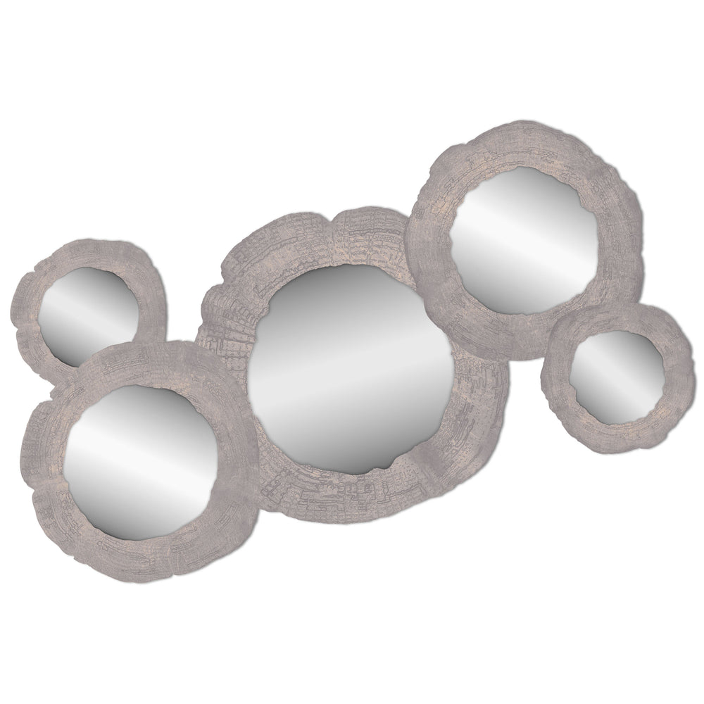 Embers of Growth VI, Grey, Set of 5-Accessories Artwork-High Fashion Home