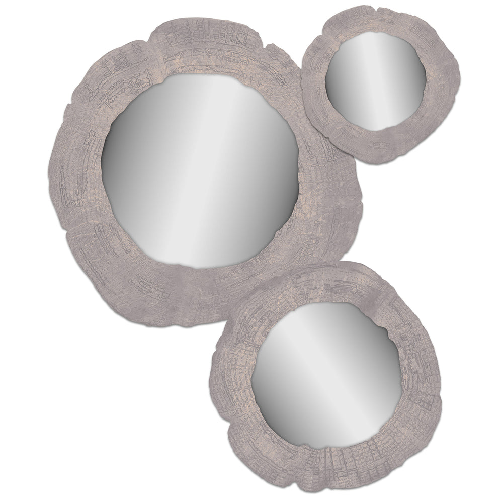 Embers of Growth V, Grey, Set of 3-Accessories Artwork-High Fashion Home
