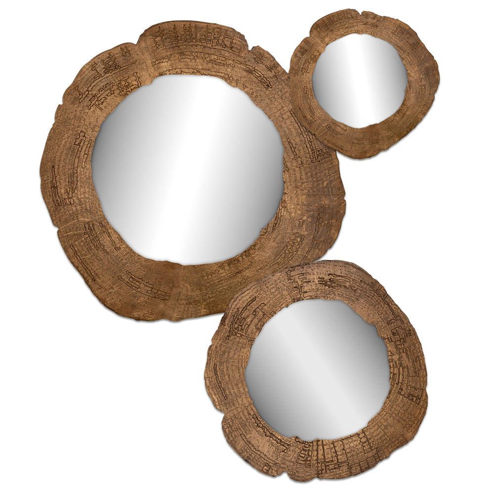 Embers of Growth V, Natural, Set of 3-Accessories Artwork-High Fashion Home