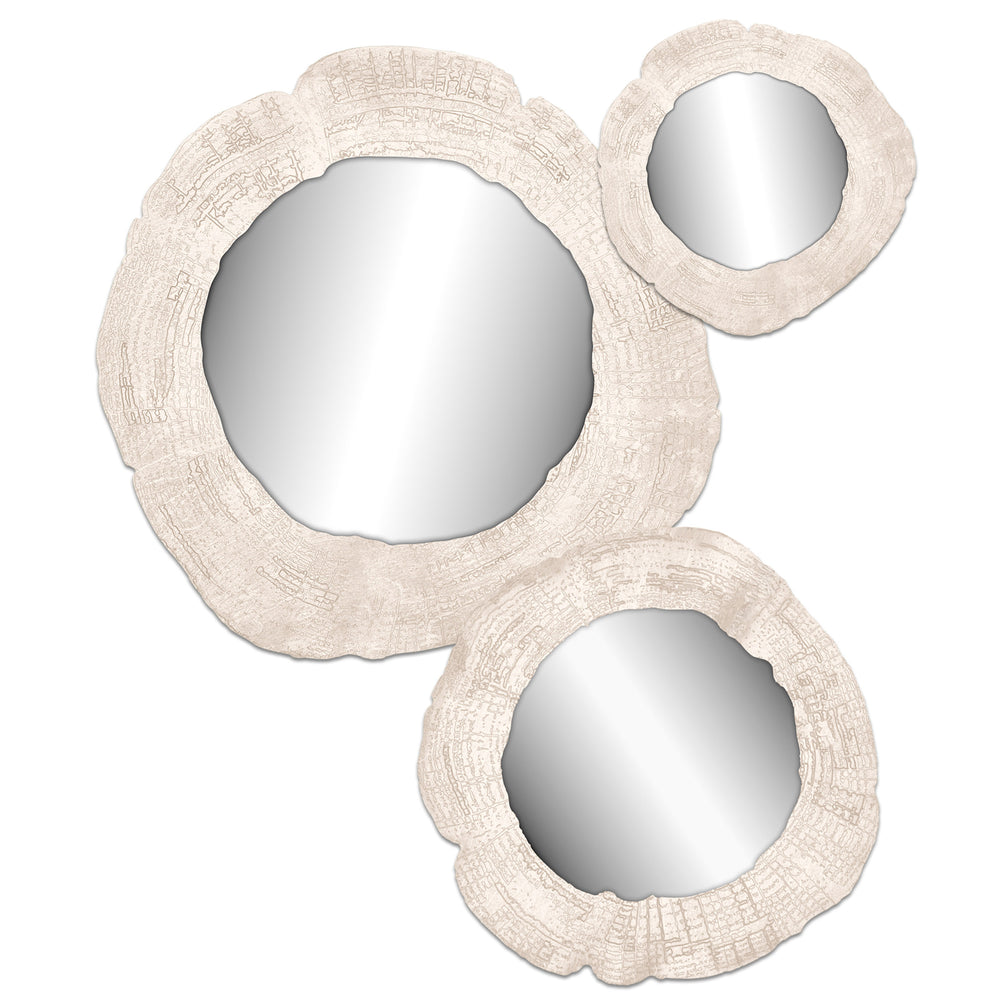 Embers of Growth V, White Wash, Set of 3-Accessories Artwork-High Fashion Home