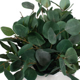 Essence Eucalyptus Accent, Gloss White-Accessories-High Fashion Home