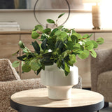 Essence Eucalyptus Accent, Gloss White-Accessories-High Fashion Home