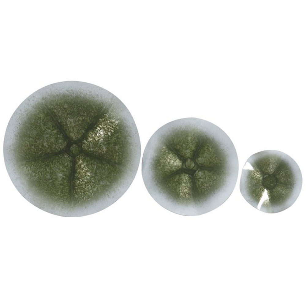 Estelle Wall Decor, Green, Set of 3