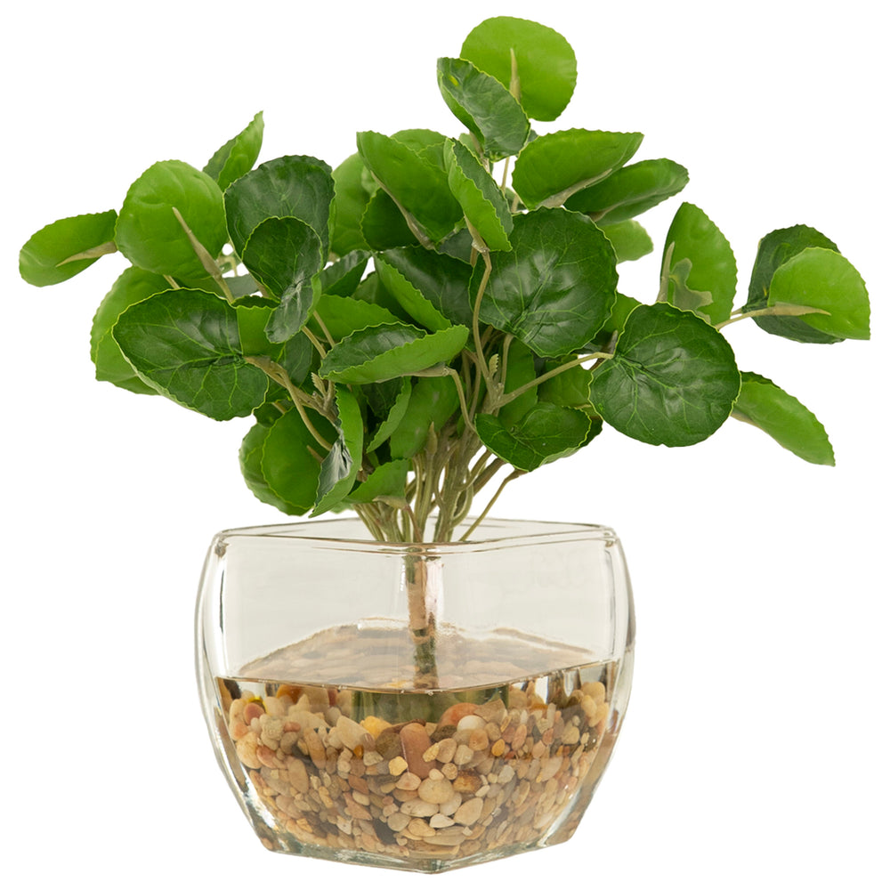 Eucalpytus in Bevel Vase, Clear-Accessories-High Fashion Home